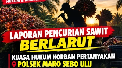 Laporan Dugaan Pencurian Sawit Sejak 2025, Kuasa Hukum Minta Polsek Muaro Sebo Ulu Beri Kejelasan