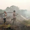 Karhutla 10 Hektare di Kumpeh Ulu Berhasil Dipadamkan