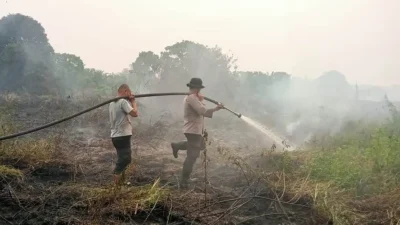 Karhutla 10 Hektare di Kumpeh Ulu Berhasil Dipadamkan