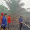 DPRD Jambi Dorong Penanganan Karhutla Jambi Diperkuat Jadi Operasi Terpadu
