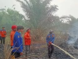 DPRD Jambi Dorong Penanganan Karhutla Jambi Diperkuat Jadi Operasi Terpadu